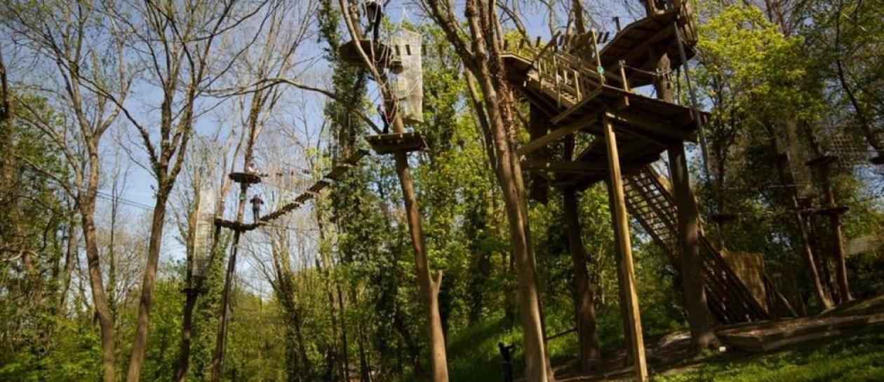 Treetop Adventure Park at Vert-Bois