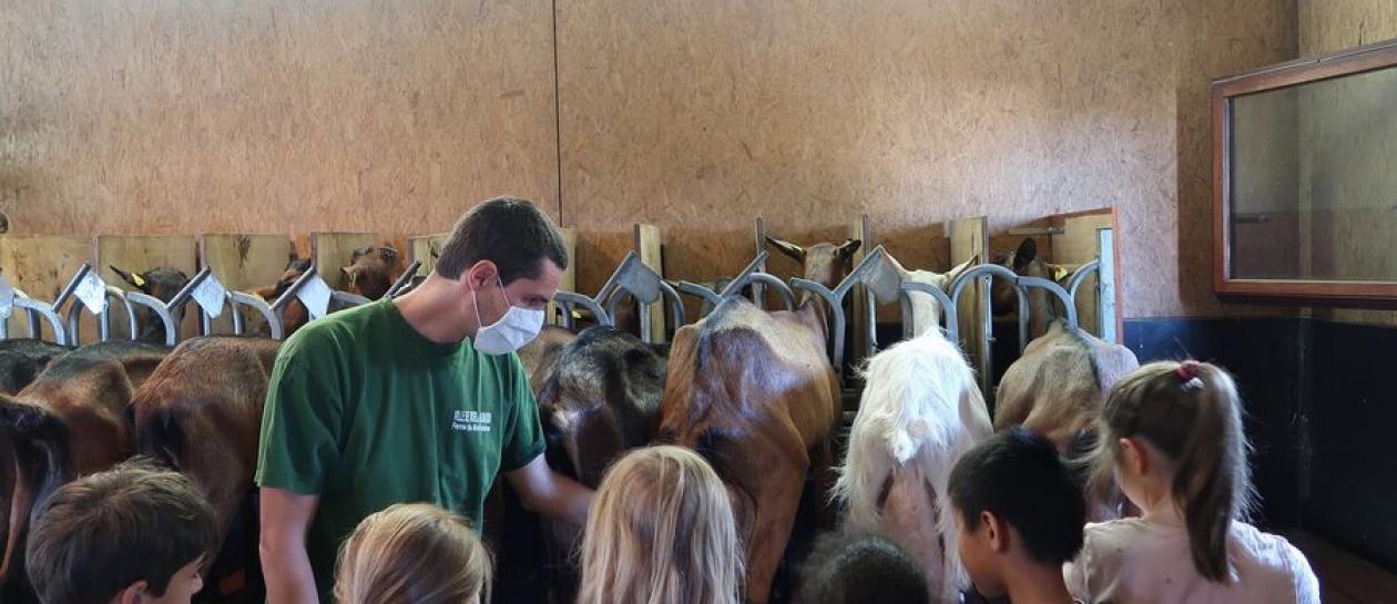 Open Days of the educational farm